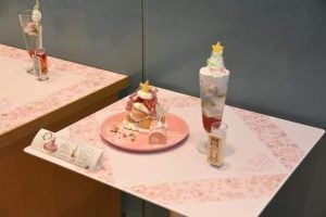 museo de Sakura Cardcaptor